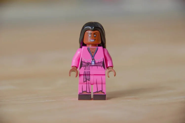 Willard Academy MiniFig Set