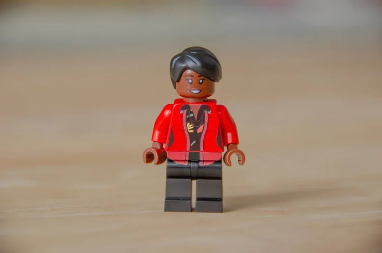 Willard Academy MiniFig Set